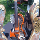 Illustration for article titled Modded Violin adds Steampunk-esque Styling, One Extra String